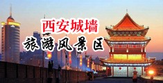 啊啊啊大鸡巴操逼视频免费中国陕西-西安城墙旅游风景区